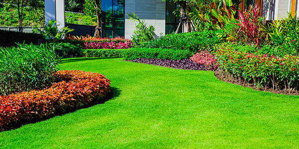 landscaping-green